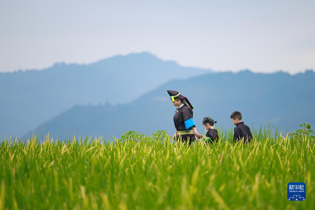 二维码